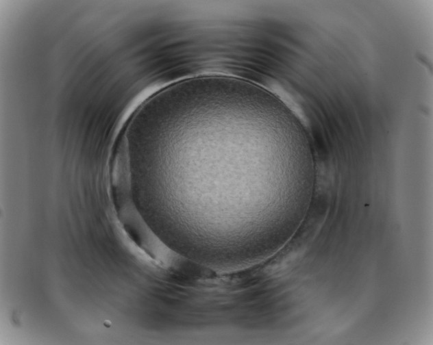 X0000097780955200803141805