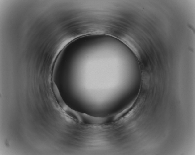 X0000097780956200803141805