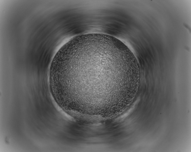 X0000097780957200803141805