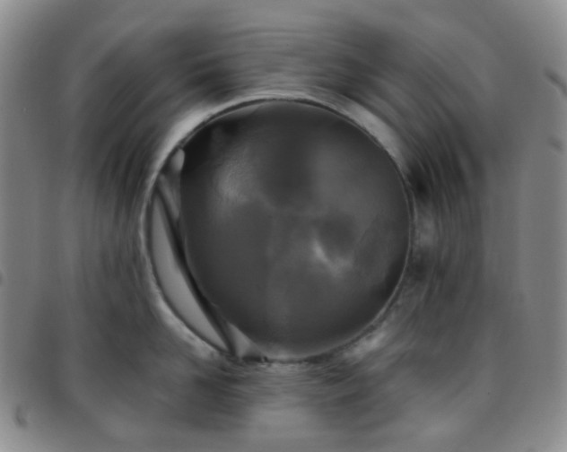 X0000097780958200803141805