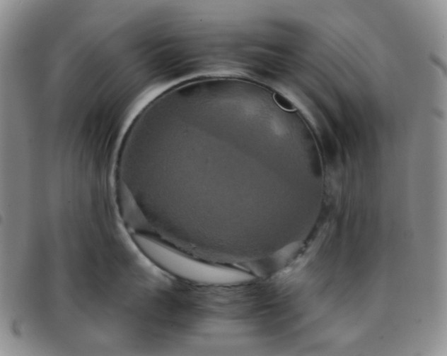X0000097780959200803141805