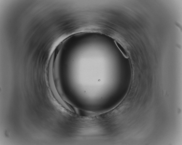 X0000097780960200803141805