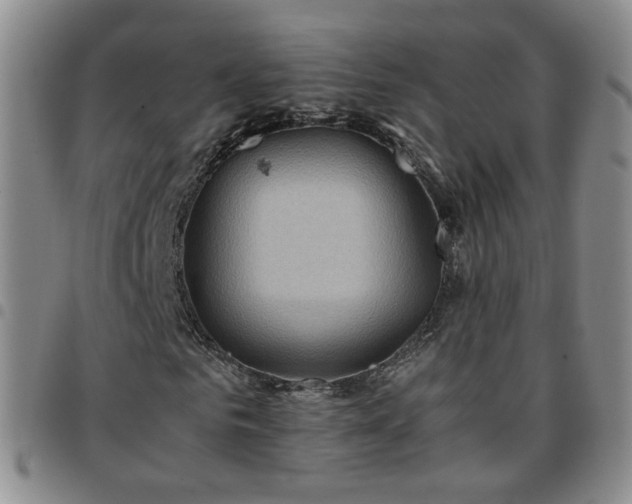X0000097780961200803141804