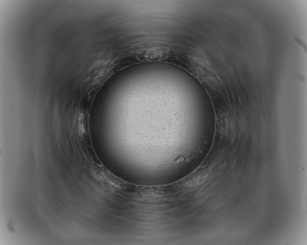 X0000097780962200803141804