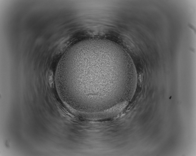 X0000097780963200803141804