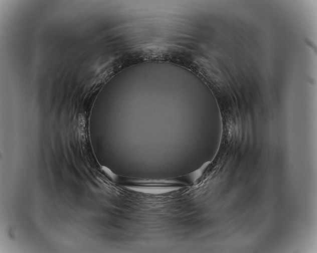 X0000097780964200803141804