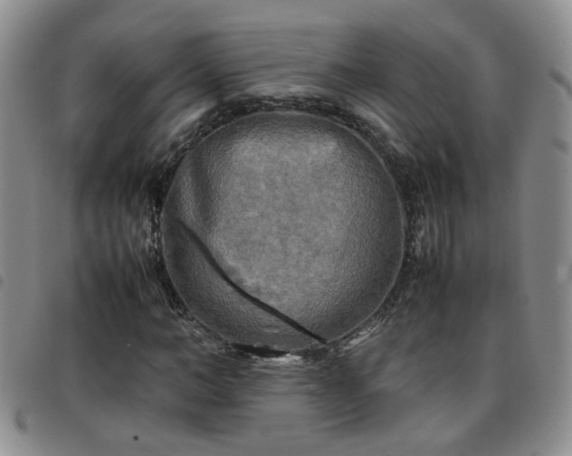 X0000097780966200803141804