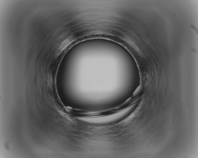 X0000097780969200803141804