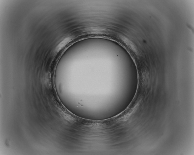 X0000097780970200803141804