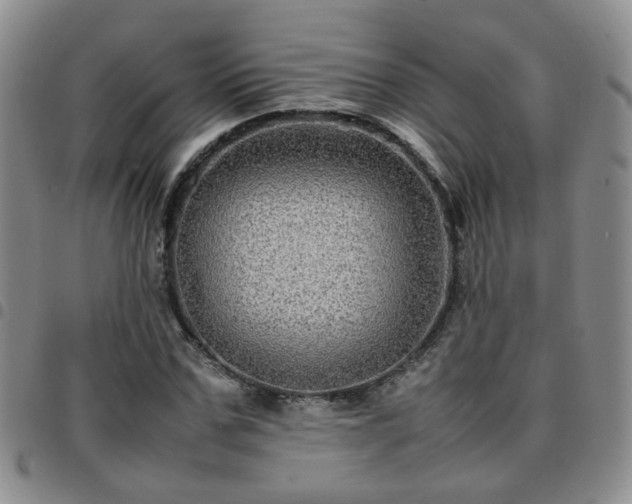 X0000097780971200803141804