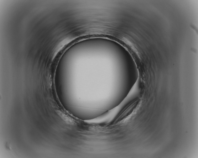 X0000097780973200803141804