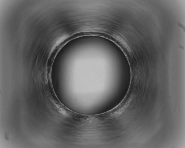 X0000097780974200803141804