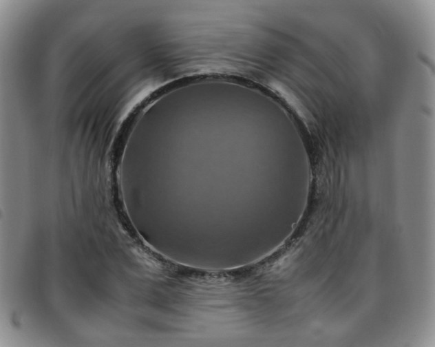 X0000097780975200803141804