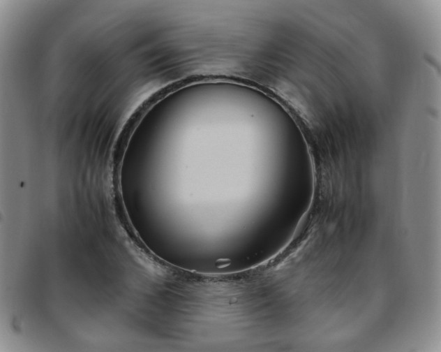 X0000097780976200803141804