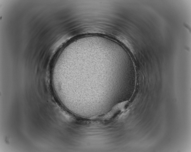 X0000097780979200803141804