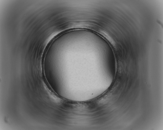X0000097780980200803141804