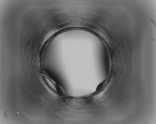X0000097780981200803141804