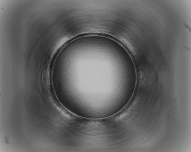 X0000097780982200803141804