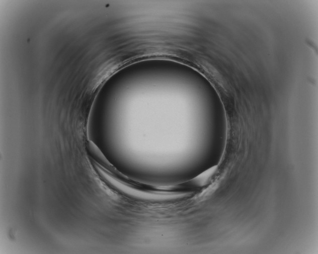 X0000097780985200803141804