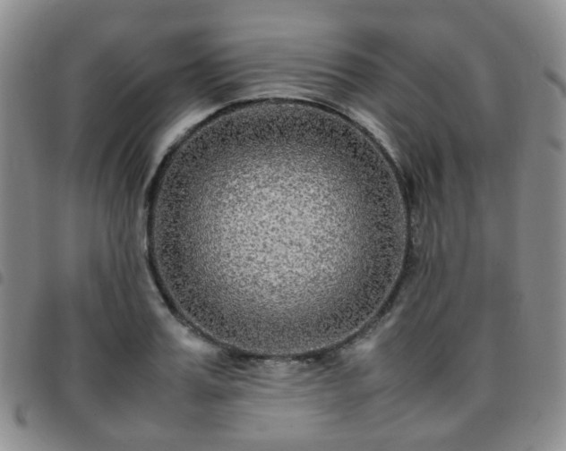 X0000097780987200803141804