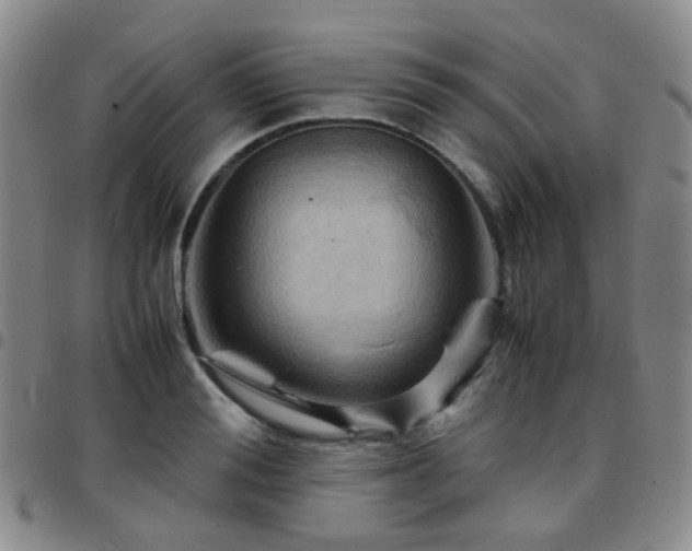 X0000097780988200803141804