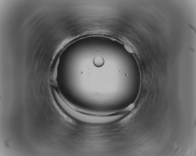 X0000097780989200803141804
