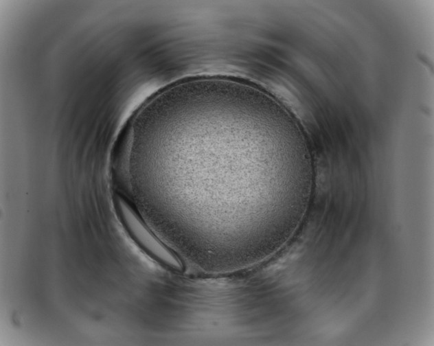 X0000097780990200803141804