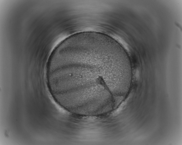 X0000097780991200803141804