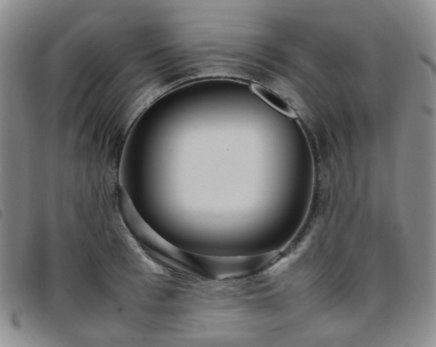 X0000097780993200803141803