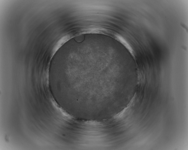 X0000097780994200803141803