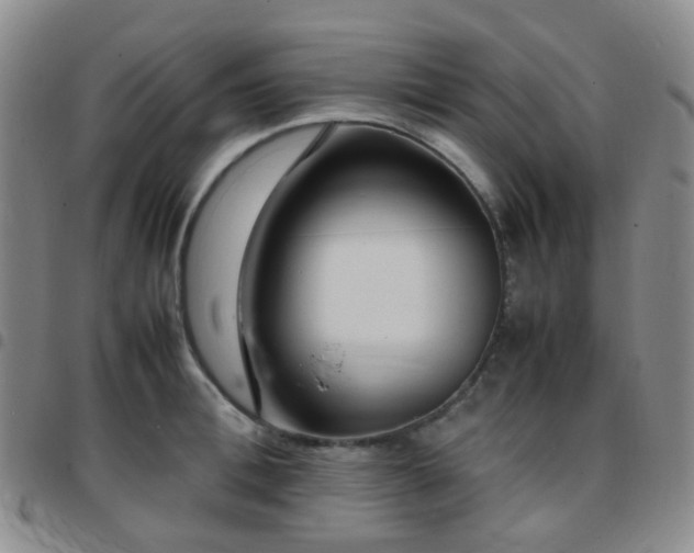 X0000097780996200803141803