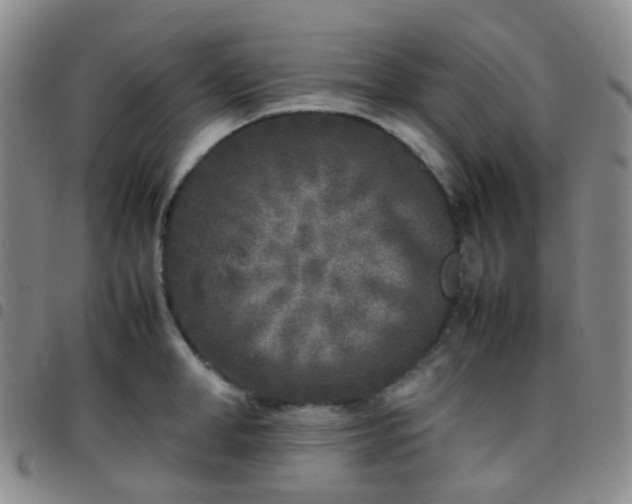 X0000097780998200803141803
