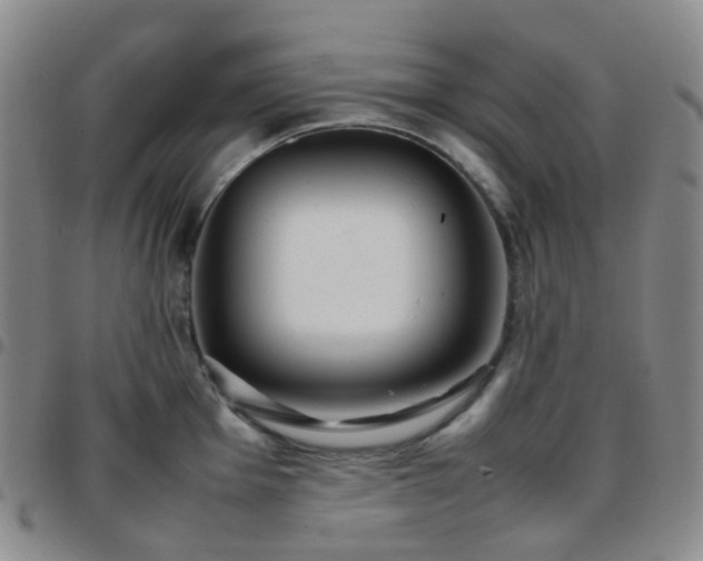 X0000097781001200803141803