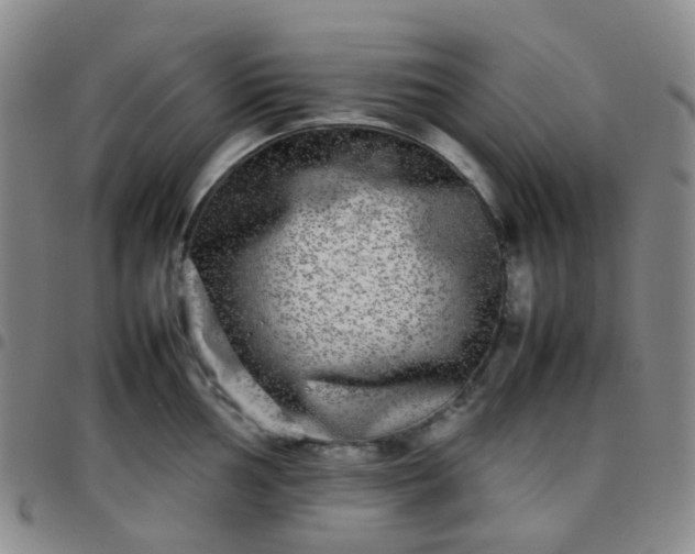 X0000097781002200803141803