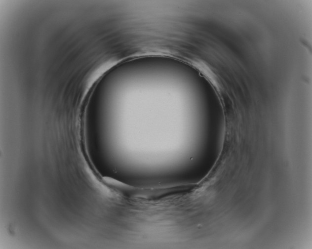X0000097781003200803141803