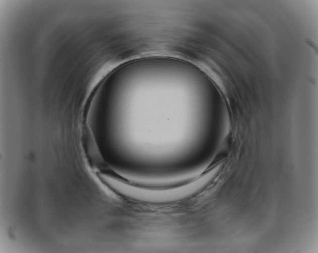X0000097781005200803141803