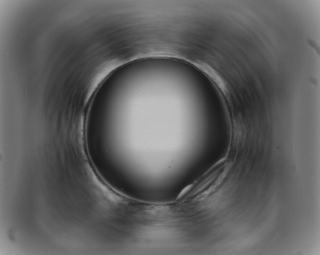 X0000097781006200803141803
