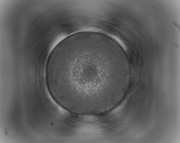 X0000097781007200803141803