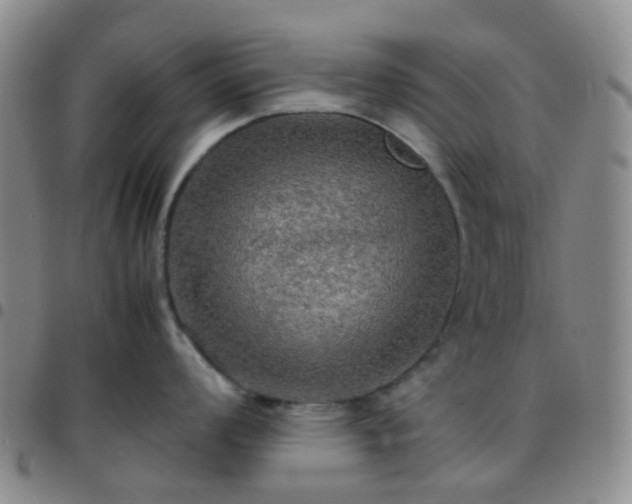 X0000097781008200803141803