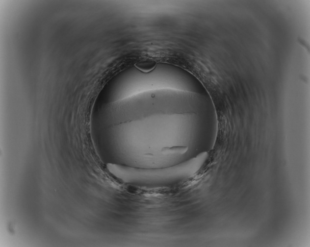X0000097781009200803141803