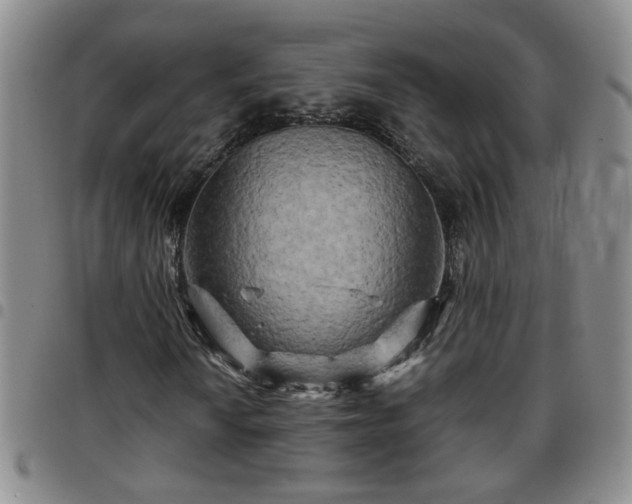 X0000097781010200803141803