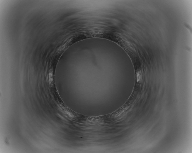 X0000097781011200803141803