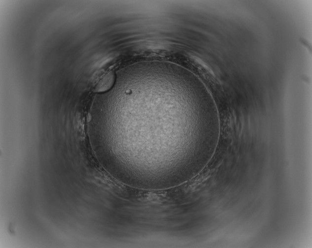 X0000097781013200803141803