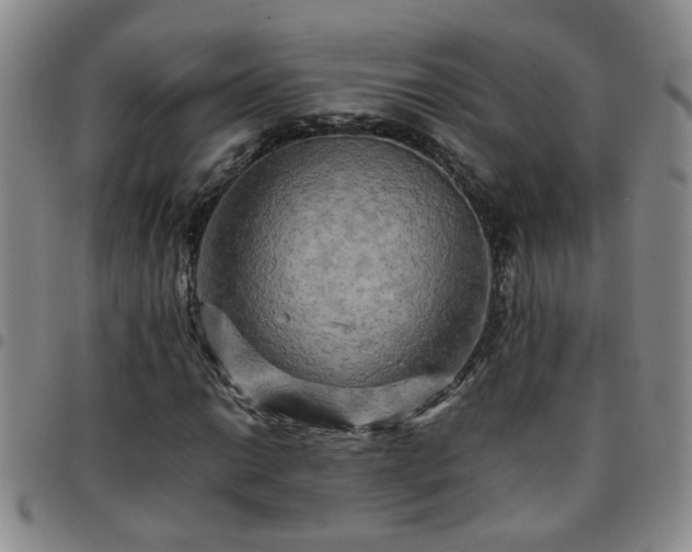 X0000097781014200803141803