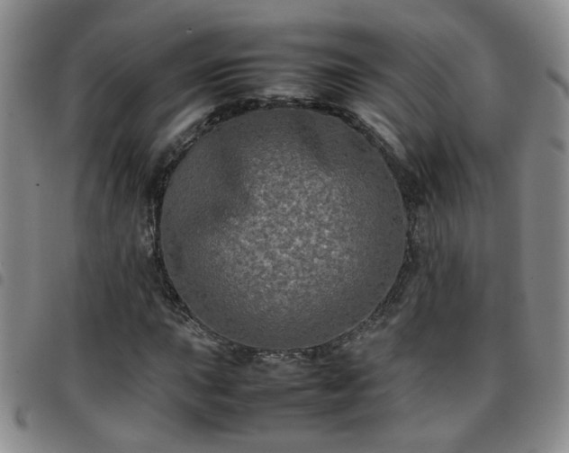 X0000097781015200803141803