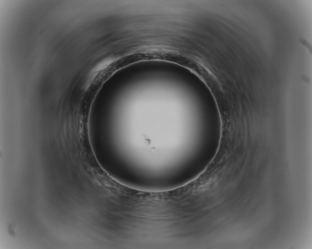 X0000097781016200803141803