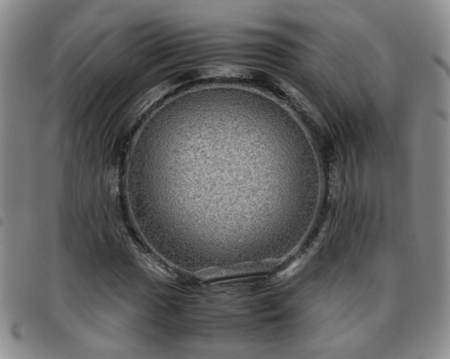 X0000097781017200803141803