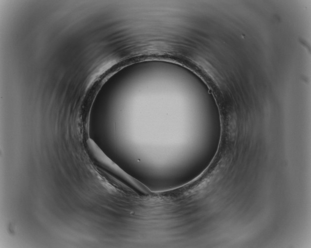 X0000097781018200803141803
