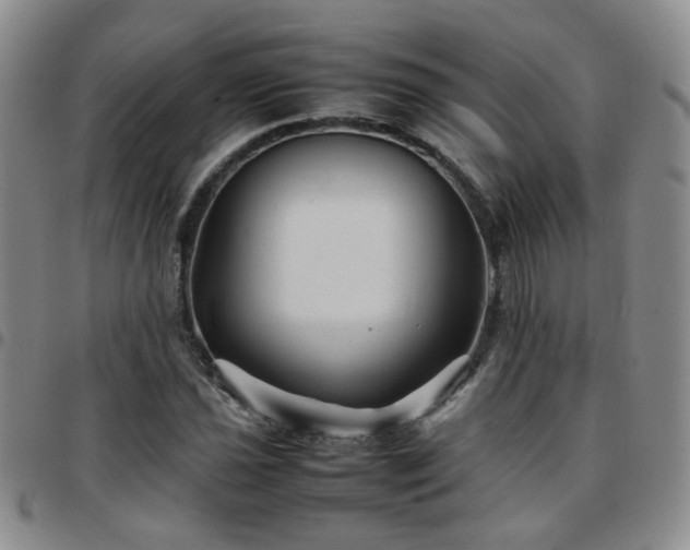 X0000097781021200803141803