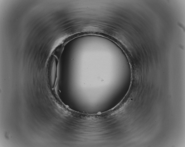 X0000097781022200803141803